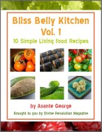 Bliss Belly Kitchen Vol. 1 eBook